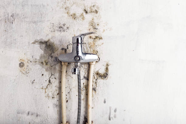 Best Commercial Mold Removal  in Stratford, OK